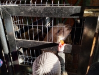 img_20241213_105710913_hdr-kopiowanie-jpg1736884370